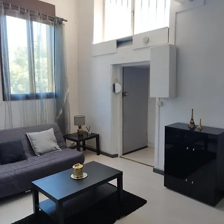 Διαμέρισμα Joli Hyper Centre Γκρενόμπλ
